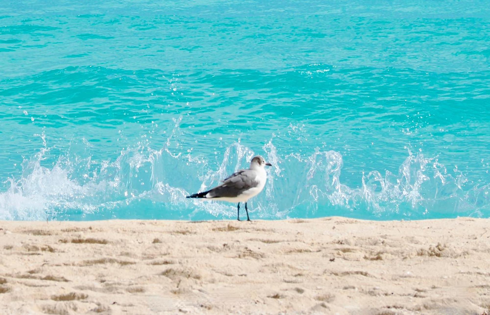 Solymar Beach Condos Cancun Ngoại thất bức ảnh